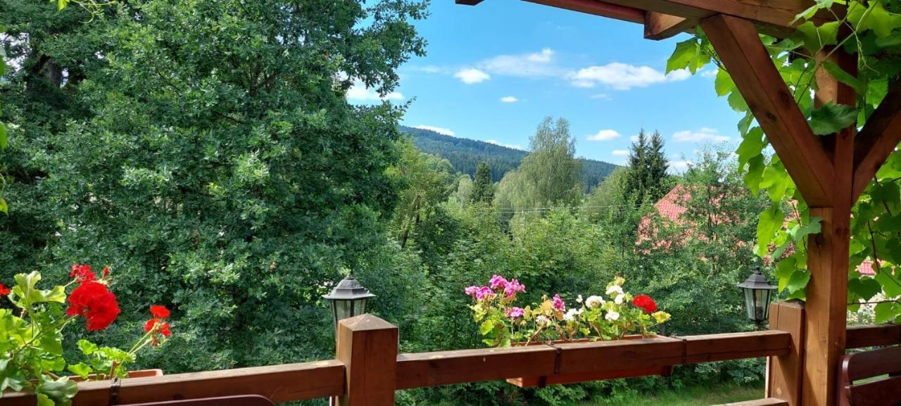 Apartman Novohradky 22 Benesov nad Cernou 외부 사진